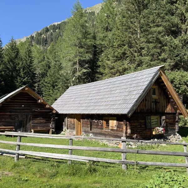 Die urigen Holzhütten des Bed and Breakfasts, eingebettet in eine saftig grüne Wiese vor einer waldreichen Bergkulisse.