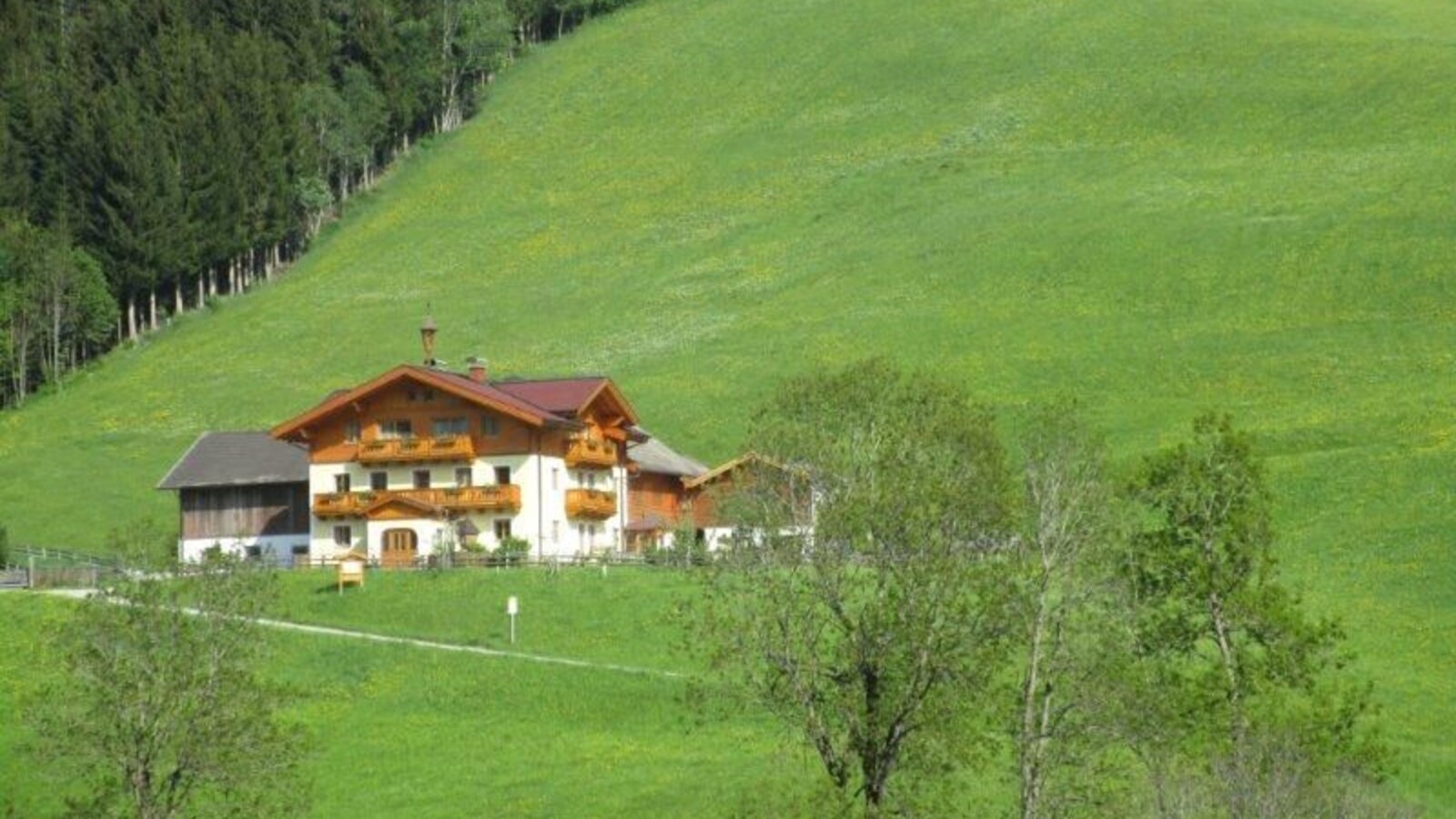 Der Bauernhof mit traditioneller Architektur und Holzbalkonen liegt inmitten grüner Wiesen und neben einem Wald.