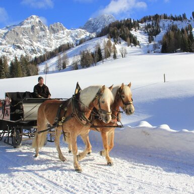 Pferdeschlittenfahrt mit zwei Pferden durch die verschneite Landschaft mit Blick auf die Berge.