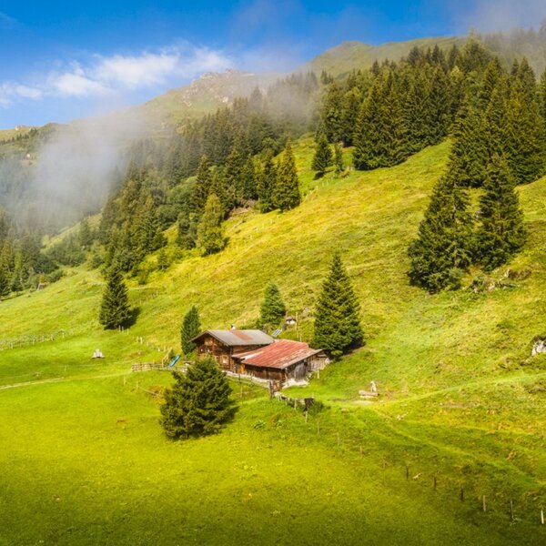 Der Hof in einer Berglandschaft mit grünen Wiesen und Wäldern, zugänglich über einen Feldweg.