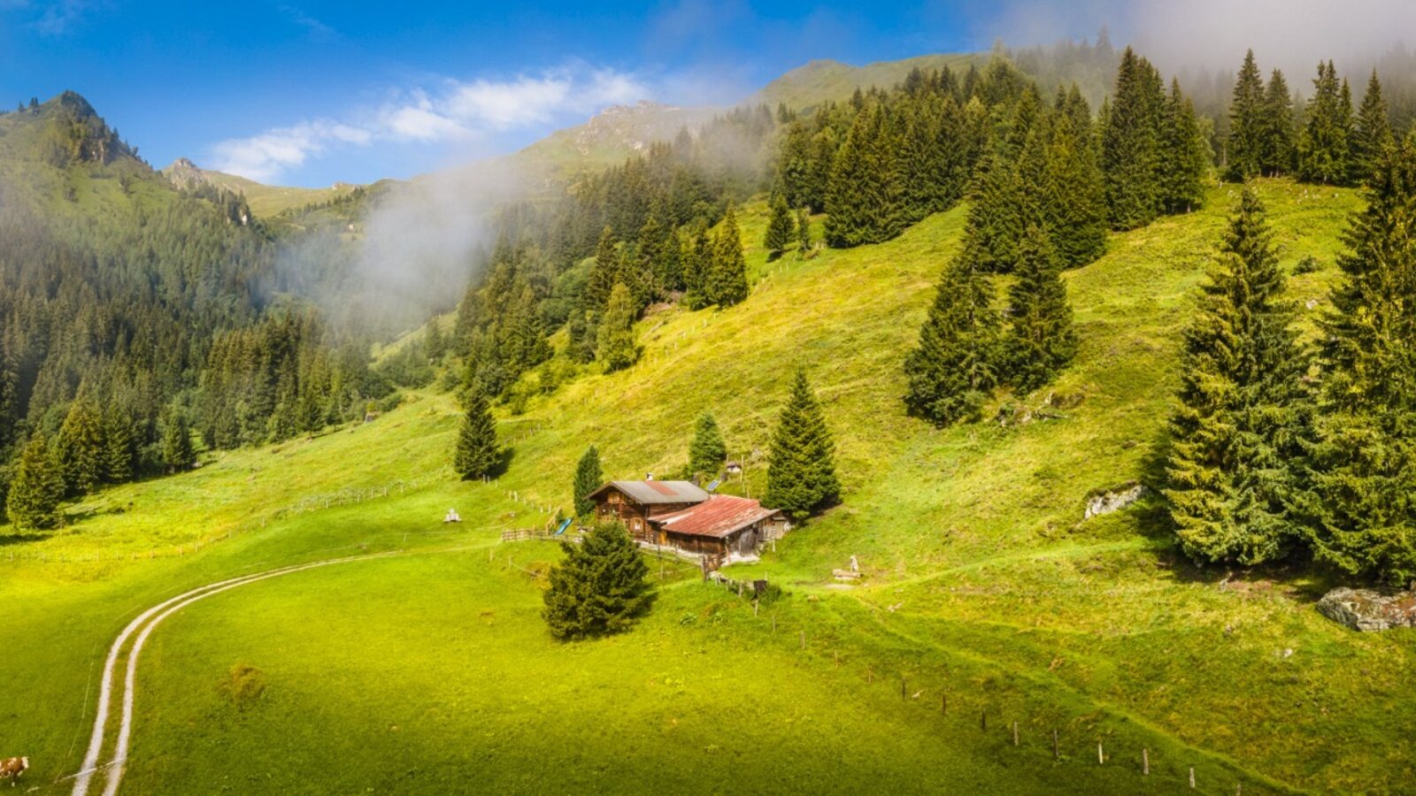 Der Hof in einer Berglandschaft mit grünen Wiesen und Wäldern, zugänglich über einen Feldweg.