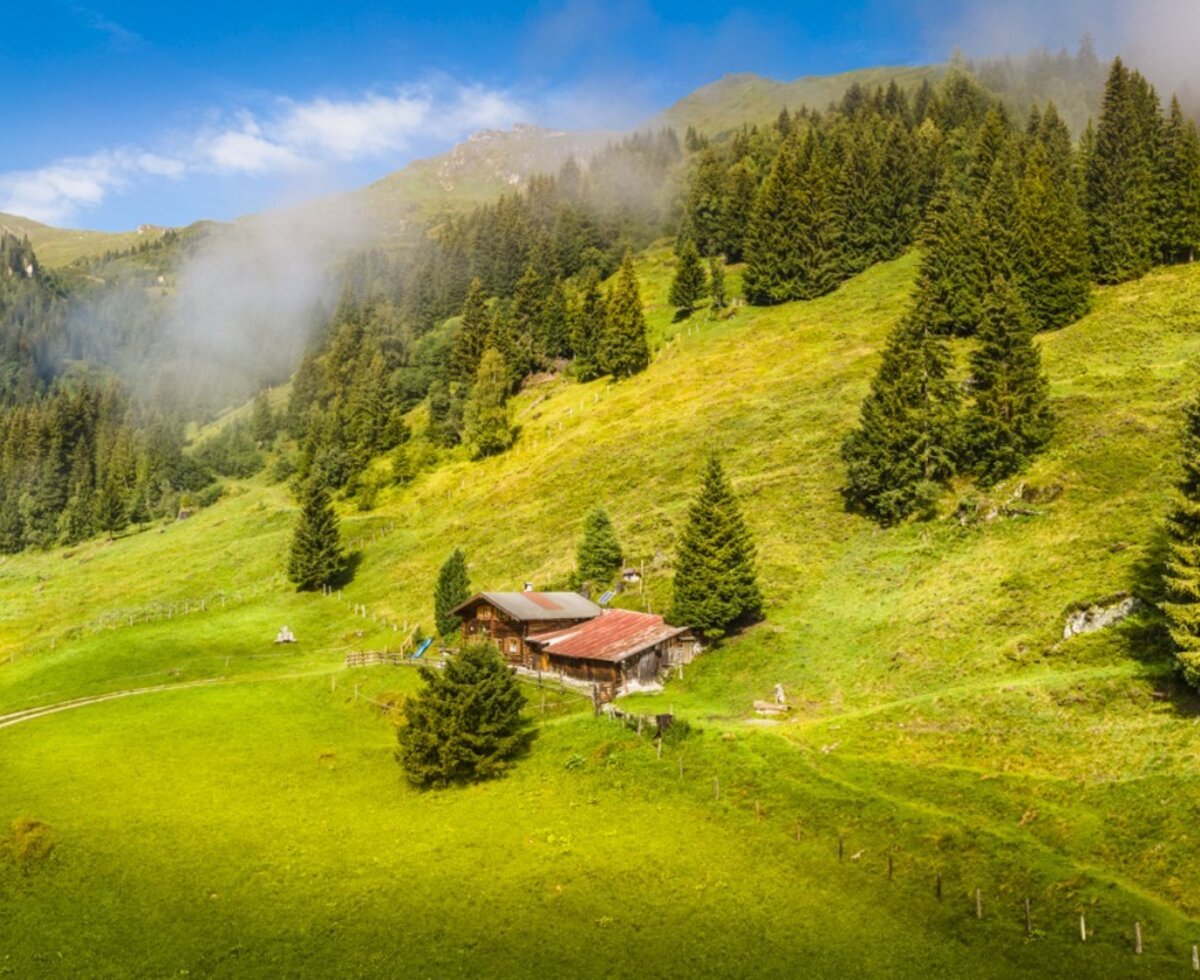 Der Hof in einer Berglandschaft mit grünen Wiesen und Wäldern, zugänglich über einen Feldweg.