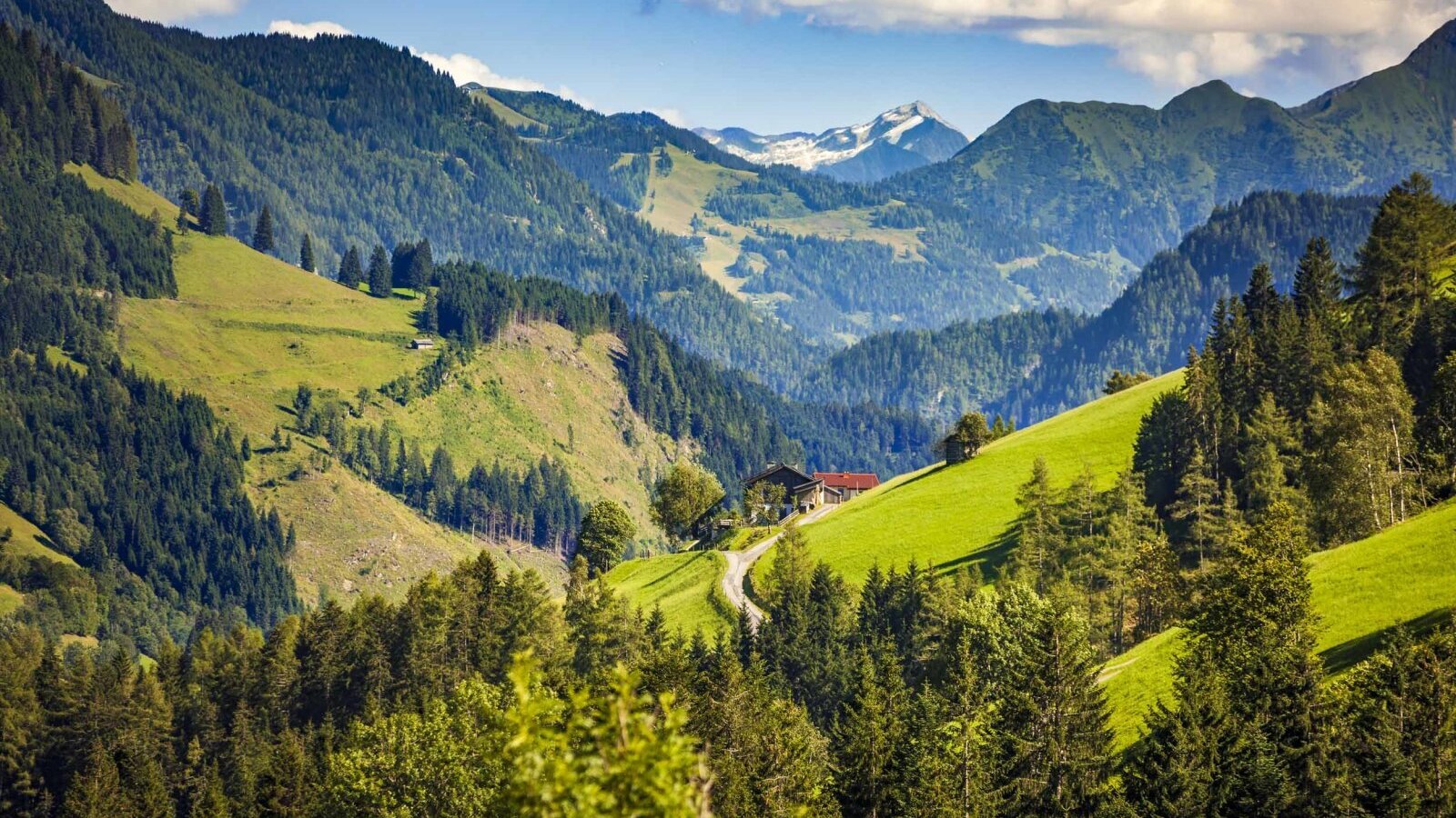 Der Bauernhof befindet sich inmitten einer Berglandschaft mit Wäldern, grünen Wiesen und schneebedeckten Gipfeln im Hintergrund.