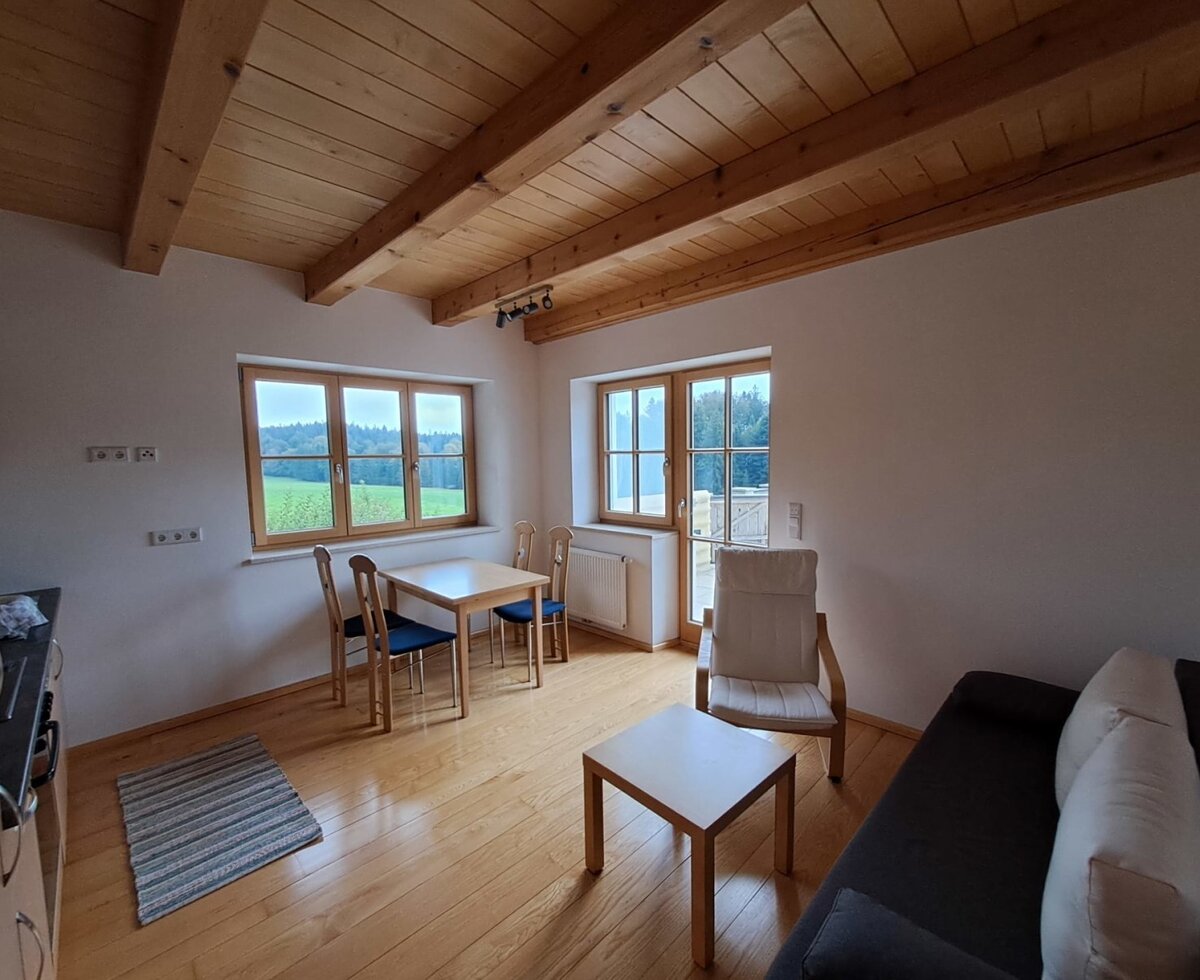 Wohnbereich der Ferienwohnung mit Küchenzeile, Esstisch, Sofa, Sessel und Blick ins Grüne.