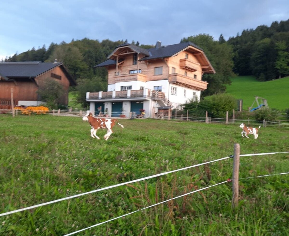 Das neue Bauernhaus wurde 2013 bezogen. Die Ferienwohnung steht seit 2026 zur Verfügung.
