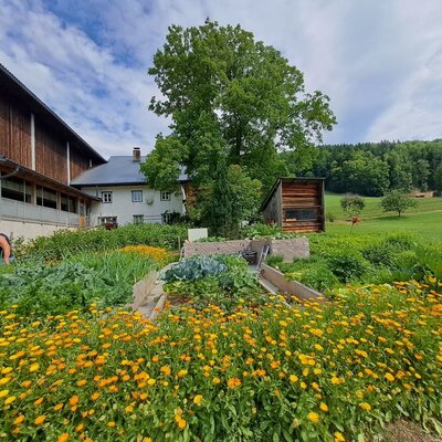 Der Garten der Ferienwohnung mit gelben Blumen, Gemüsebeeten und den umliegenden Gebäuden des Anwesens.