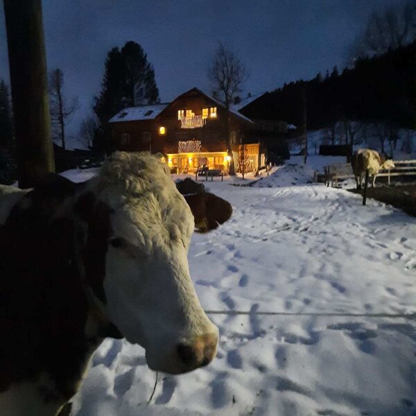 Idyllische Winterlandschaft - zur Einstimmung auf den Christkindl-Markt oder zum Entspannen nach einem Tag auf der Loipe
