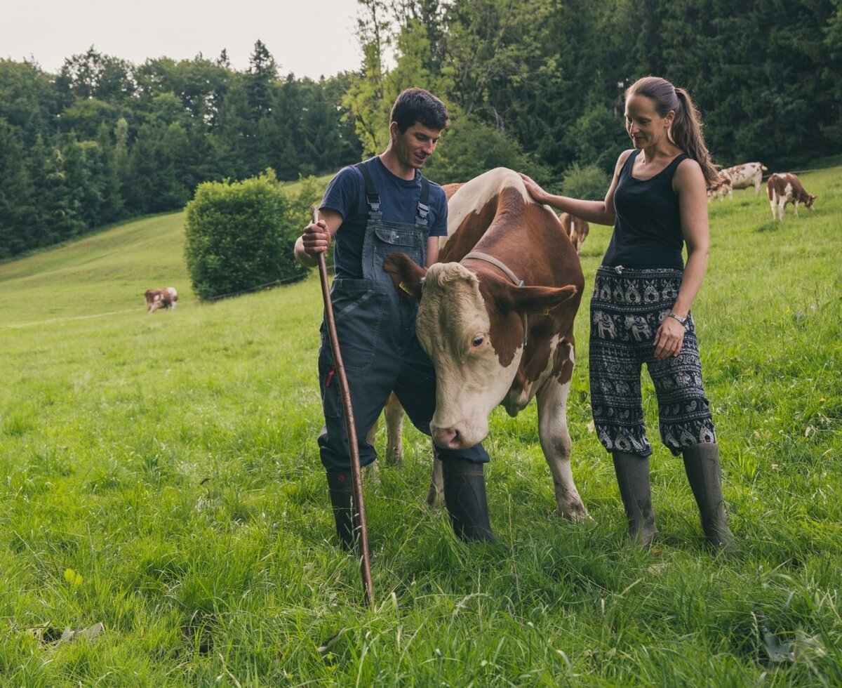Ein Mann und eine Frau auf einer grünen Weide mit Kühen, die das ländliche Erlebnis der Ferienwohnung unterstreichen.