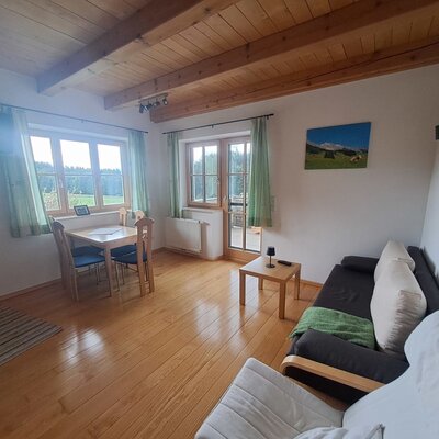 Wohnbereich der Ferienwohnung mit Schlafsofa, Esstisch für vier Personen und Zugang zur Terrasse.