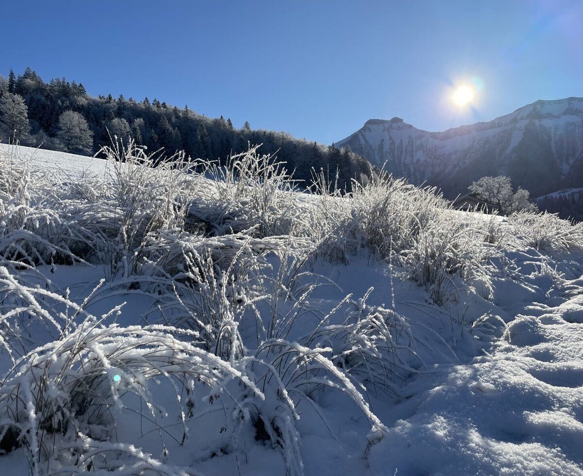 Winterlandschaft