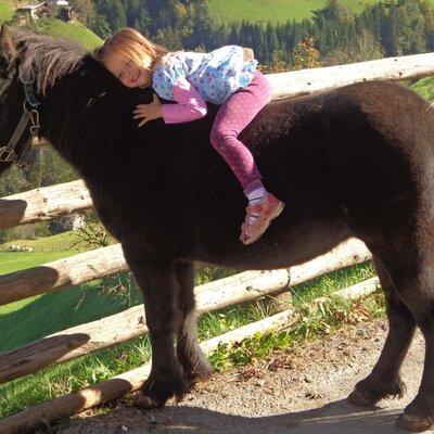 Pony Wendy