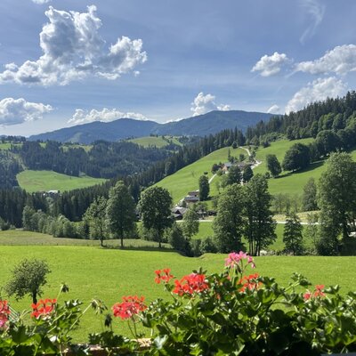 Ausblick vom Bauernhof auf die umliegenden Berge und grüne Landschaft mit Blumen im Vordergrund.