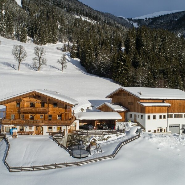 Pfaffentreitherhof im Winter