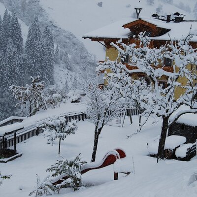 die weisse Pracht - der 1. Schnee