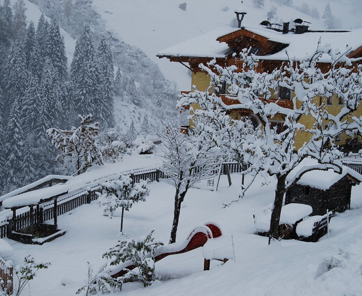 die weisse Pracht - der 1. Schnee