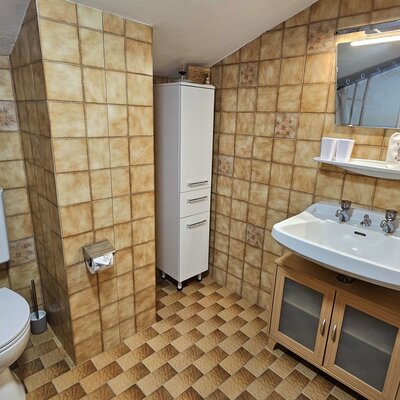 Apartment Talblick - Badezimmer in der Mansarde mit Waschbecken und WC