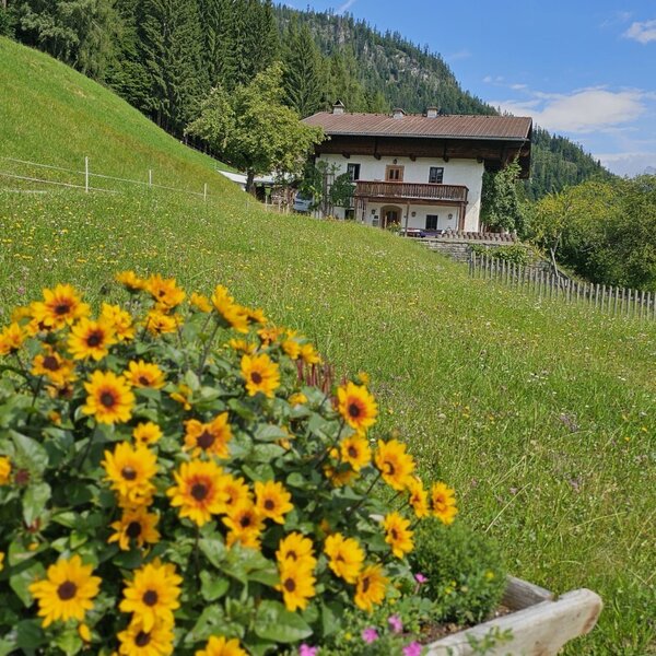 Blick auf Hof von der Hofeinfahrt von der Südseite