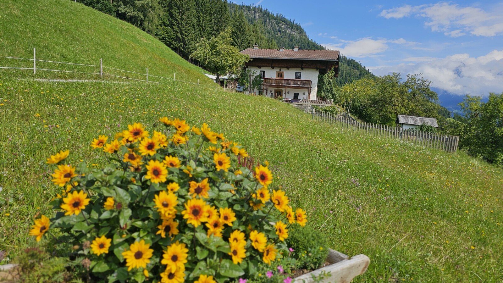 Blick auf Hof von der Hofeinfahrt von der Südseite