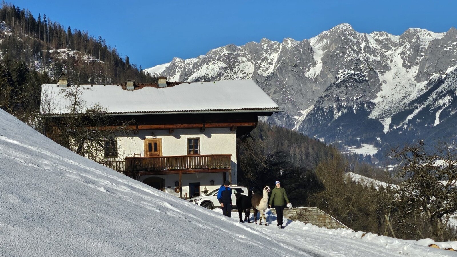 Hofansicht mit dem Tennengebirge im Hintergrund - wieder mal unterwegs mit unseren Lamas!