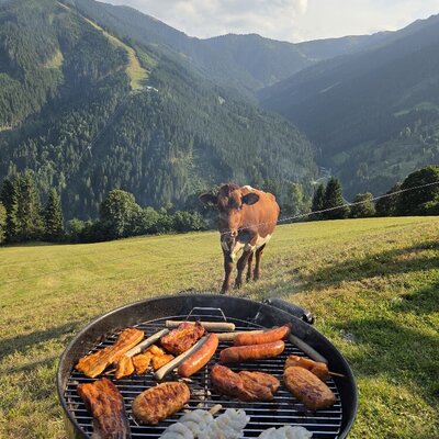 Ein gemütlicher Grillabend auf dem Bauernhof mit einer neugierigen Kuh und Blick auf die idyllische Bergkulisse.
