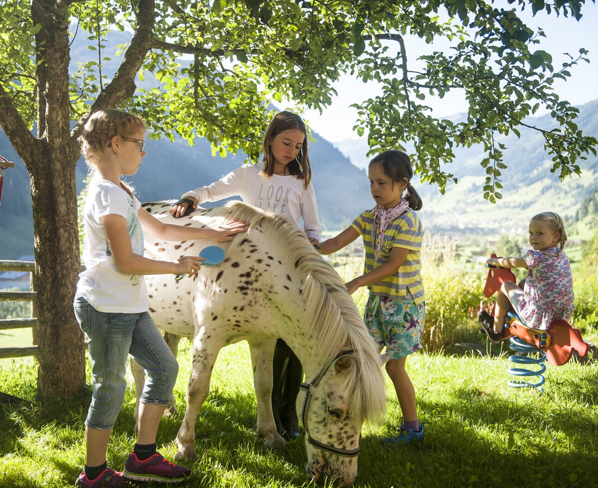 Kinder bürsten ein Pony und spielen im Garten des Bauernhofs mit Bergblick.