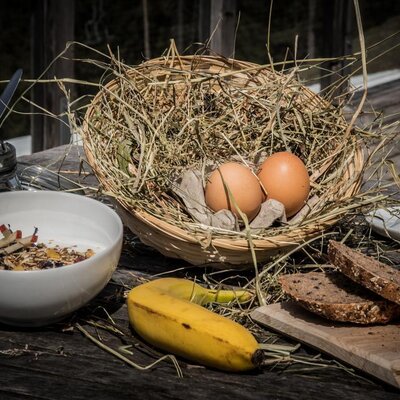 Frische Eier, Müsli und kerniges Brot bilden das Frühstücksangebot auf dem Hof.