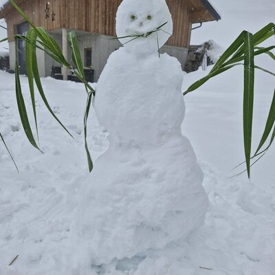 Schneemann