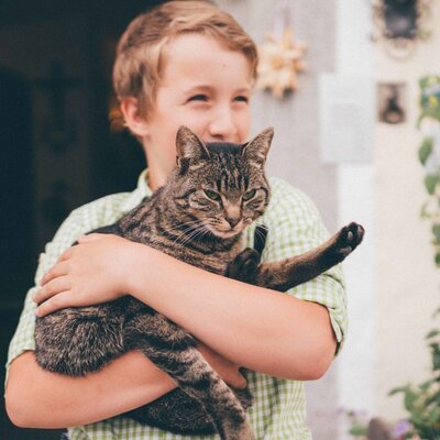 unsere Katze