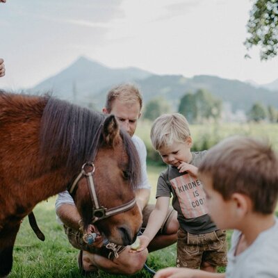 Ponyreiten und Füttern für Kinder auf dem Bauernhof, begleitet von einem Erwachsenen und umgeben von Berglandschaft.