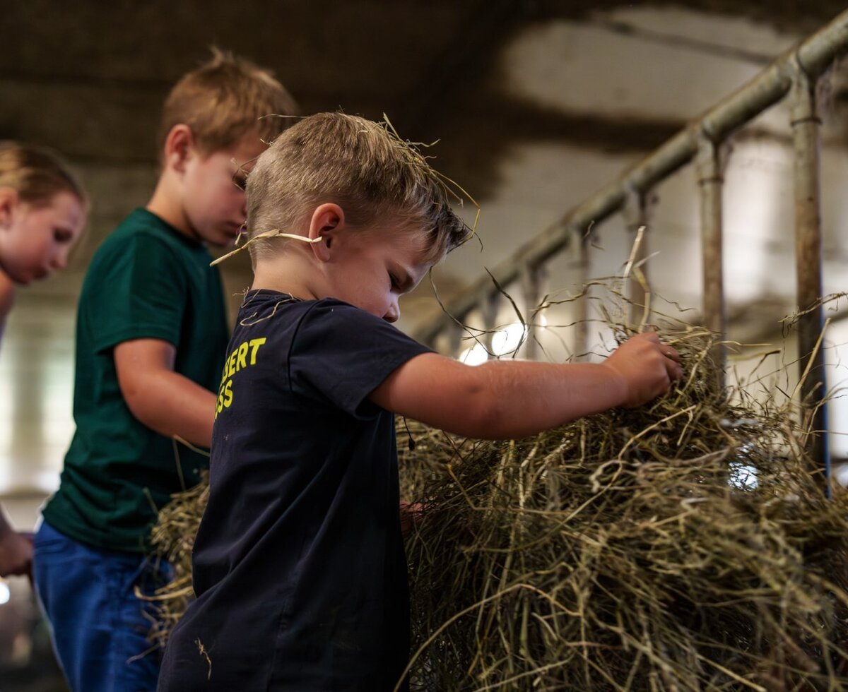Kinder füttern Tiere mit Heu im Stall des Bauernhofs.