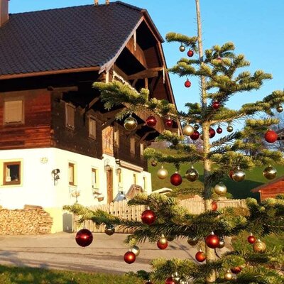 Der Bauernhof von außen, mit einem festlich geschmückten Weihnachtsbaum im Vorgarten.