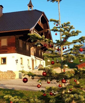 Der Bauernhof von außen, mit einem festlich geschmückten Weihnachtsbaum im Vorgarten.