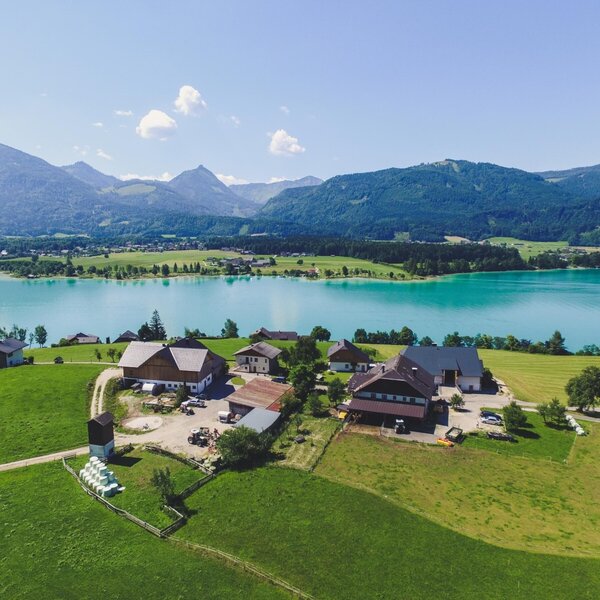 Stallerbauer am Wolfgangsee | © Stallerbauer