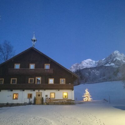 Der Bio-Bauernhof Steinerhof im Winter, umgeben von Schnee und Bergen, mit einem beleuchteten Weihnachtsbaum vor dem Haus.