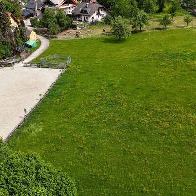 Eine weitläufige grüne Wiese und ein gepflegter Reitplatz auf dem Gelände des Bauernhofs.