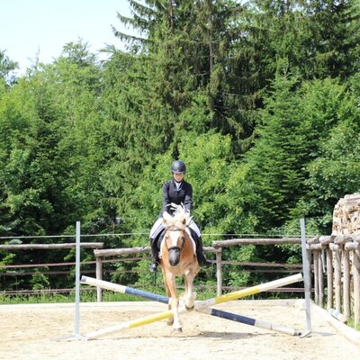 Der gepflegte Reitplatz des Bauernhofs bietet ideale Bedingungen für Reitbegeisterte vor einer idyllischen Waldkulisse.