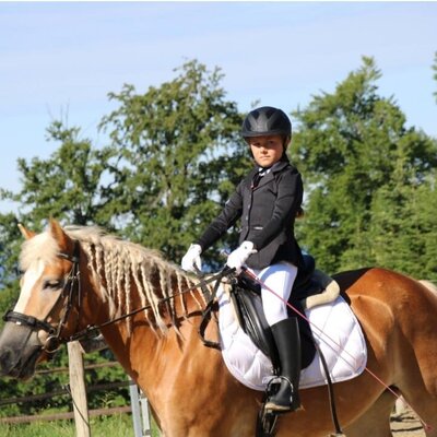 Spannender Reitspaß auf dem hofeigenen Reitplatz des Bauernhofs mit gutmütigen Pferden.