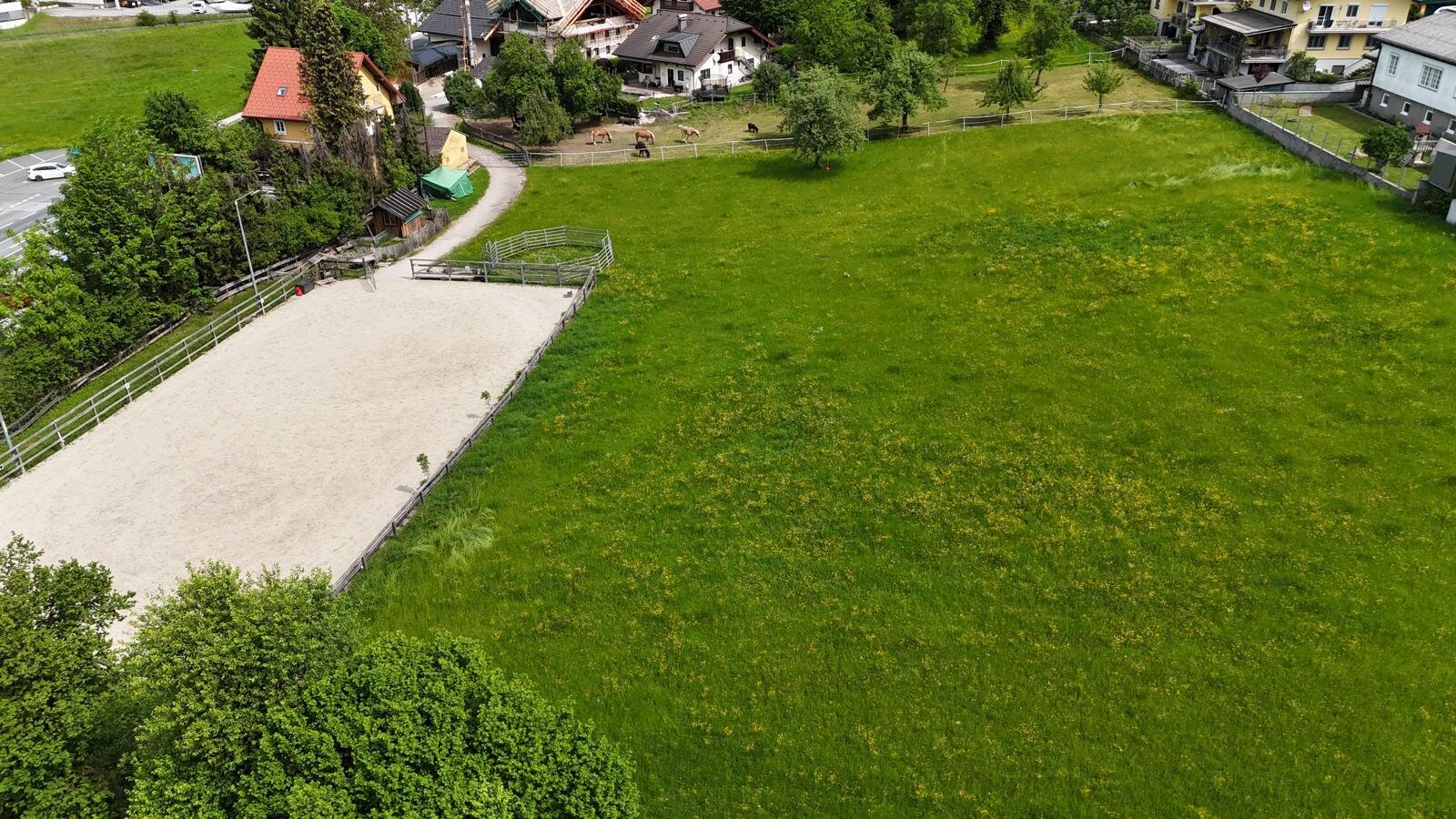 Eine weitläufige grüne Wiese und ein gepflegter Reitplatz auf dem Gelände des Bauernhofs.