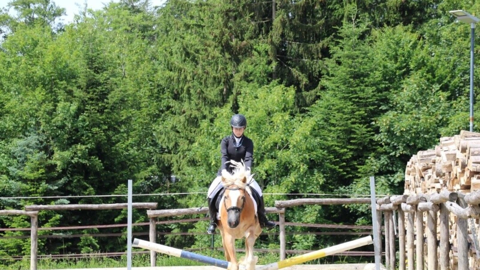 Der gepflegte Reitplatz des Bauernhofs bietet ideale Bedingungen für Reitbegeisterte vor einer idyllischen Waldkulisse.