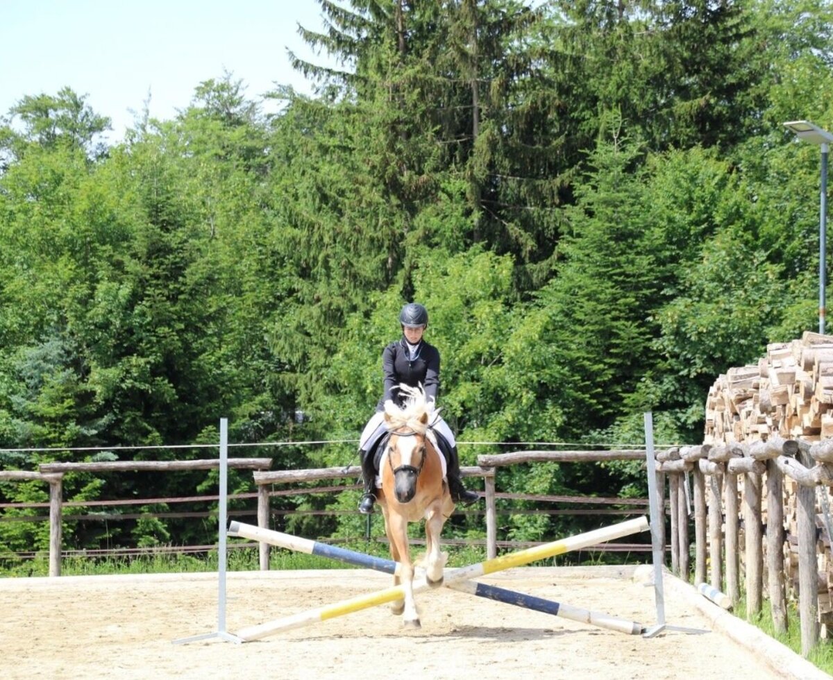 Der gepflegte Reitplatz des Bauernhofs bietet ideale Bedingungen für Reitbegeisterte vor einer idyllischen Waldkulisse.