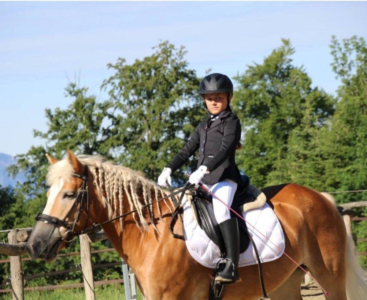 Spannender Reitspaß auf dem hofeigenen Reitplatz des Bauernhofs mit gutmütigen Pferden.