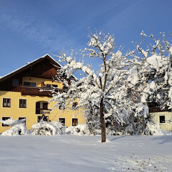 Der Bauernhof mit gelber Fassade, Holzbalkonen und einem schneebedeckten Dach unter blauem Himmel.