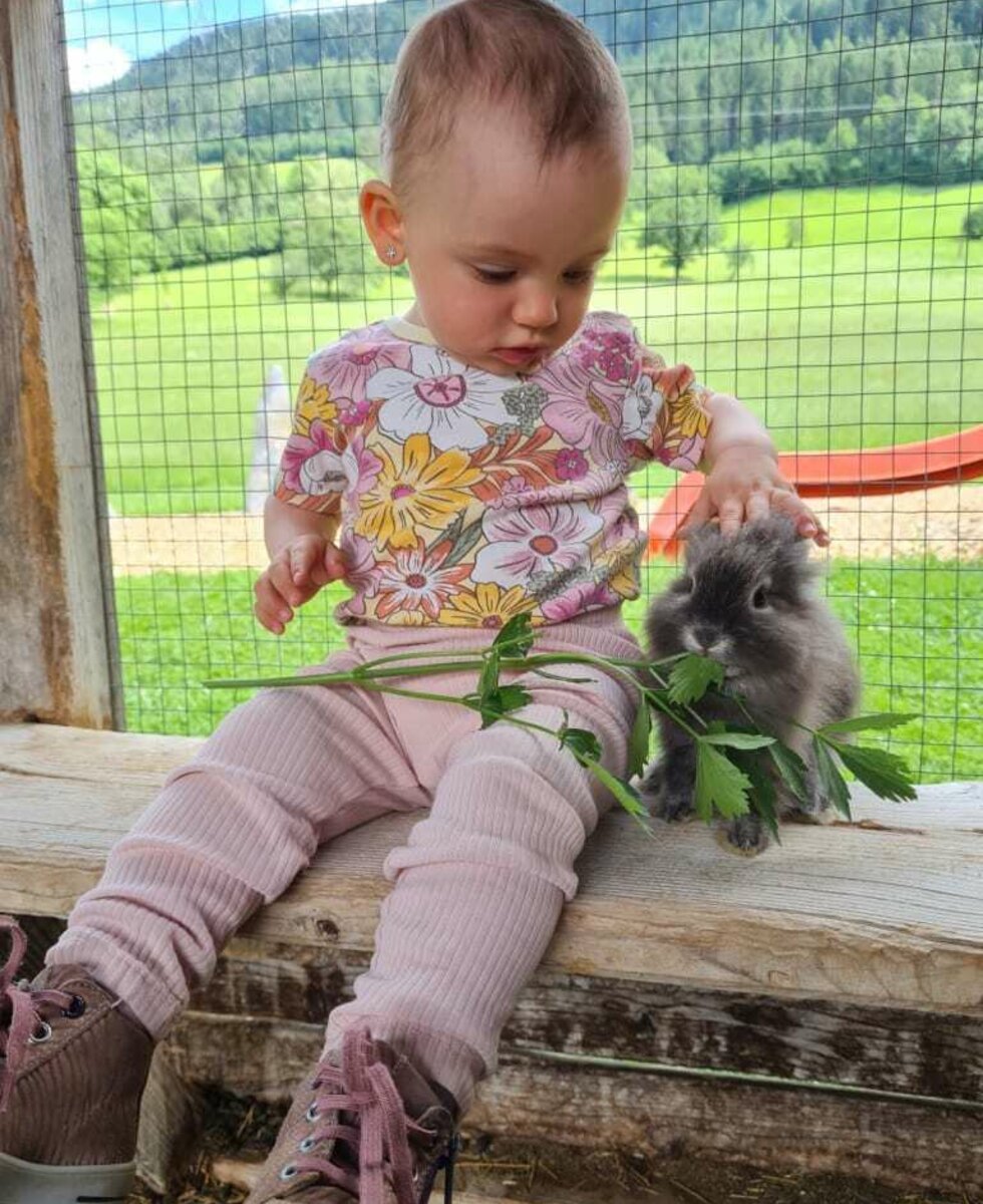 Hase