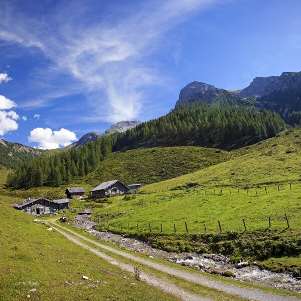 Aussicht auf die Alm
