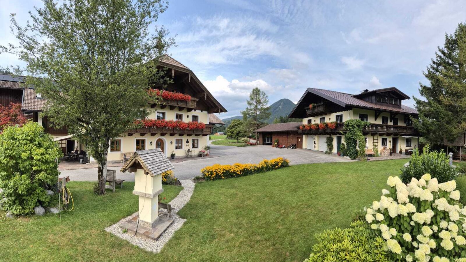 Panoramabild