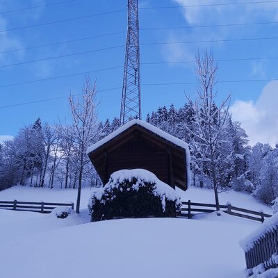 Der verschneite Außenbereich des Bauernhofs im Winter, mit einem Holzunterstand, schneebedeckten Bäumen und einem Strommast.