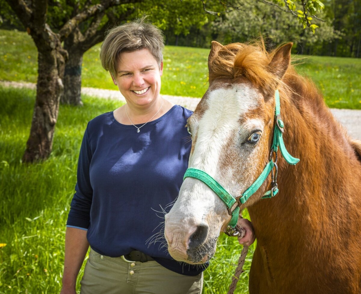unser Pony