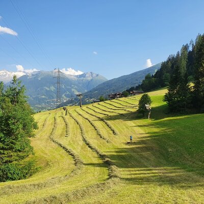 Heuernte Waldhof Gastein