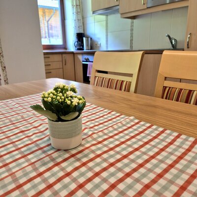 voll ausgestattete Wohnküche Appartement WALDBLICK
