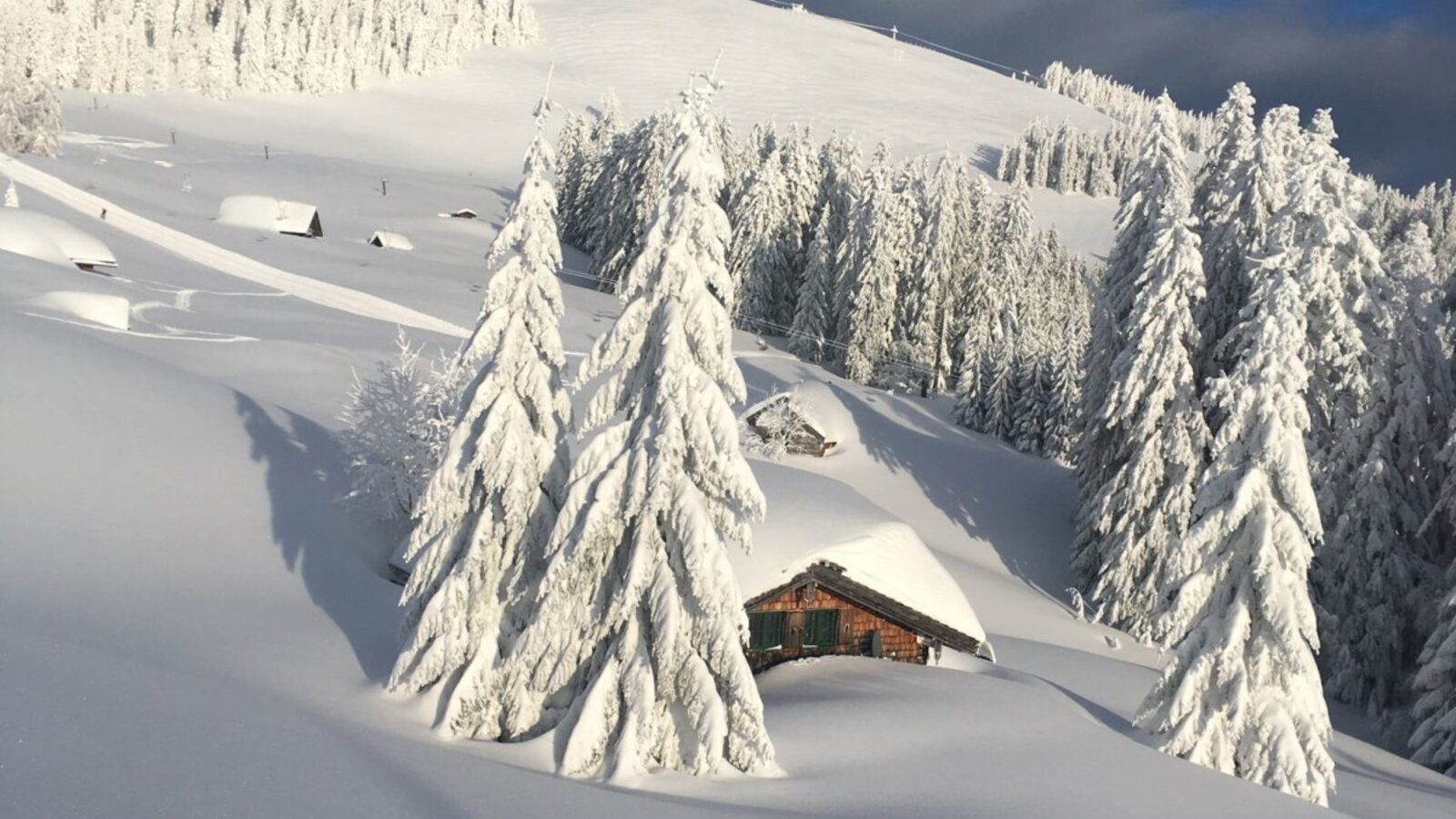 Die Hütte des Hofes in einer verschneiten Winterlandschaft mit Bäumen.